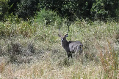 DSC_4009 (Large).JPG